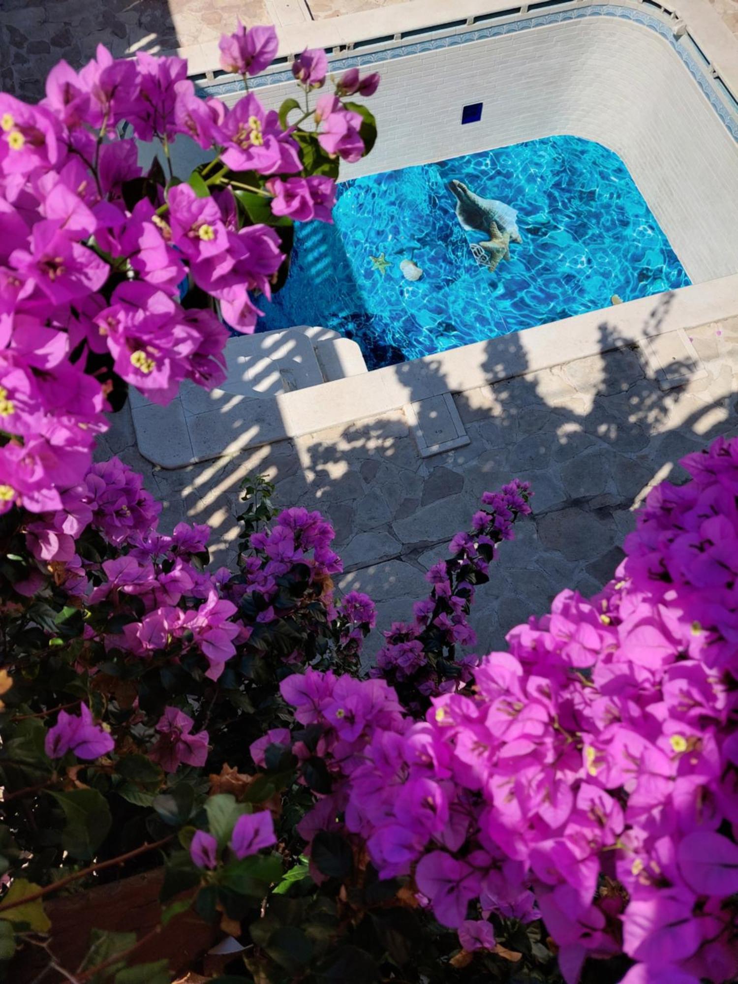 Studios Villa Romantica Задар Екстериор снимка
